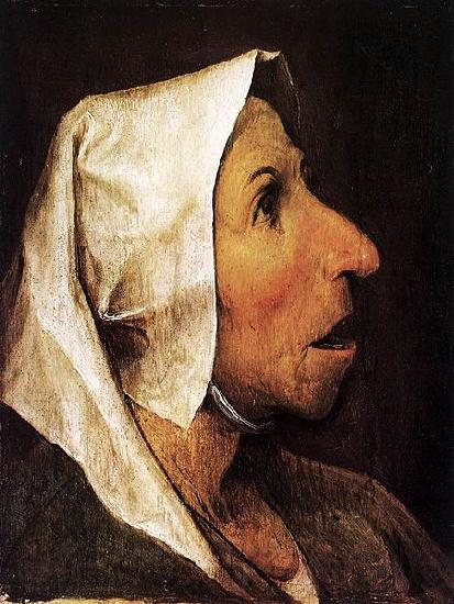 Pieter Bruegel the Elder Portrait of an Old Woman Spain oil painting art